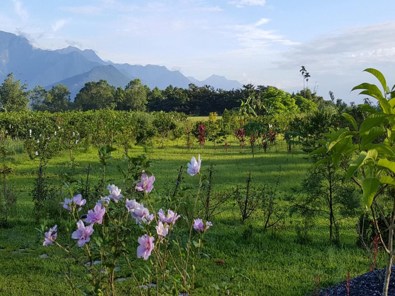 Yi Tian Homestay Fenglin Exterior photo