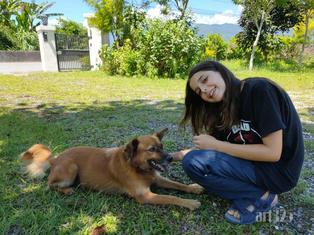 Yi Tian Homestay Fenglin Exterior photo